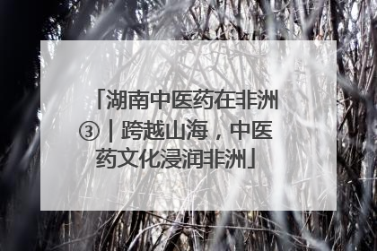 湖南中医药在非洲③｜跨越山海，中医药文化浸润非洲