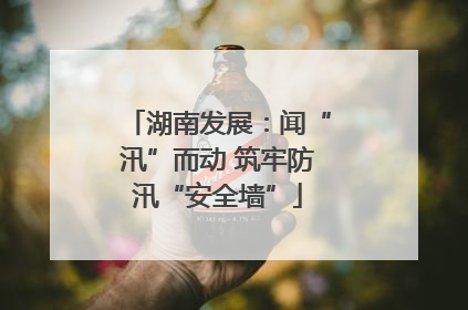 湖南发展：闻“汛”而动 筑牢防汛“安全墙”