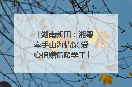 湖南新田：湘粤牵手山海情深 爱心捐赠情暖学子