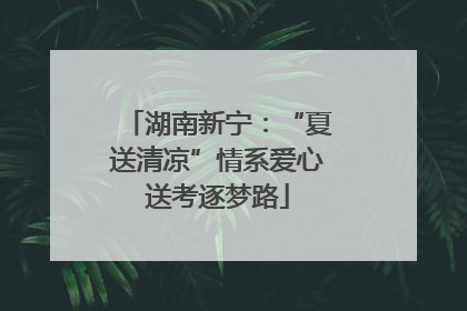 湖南新宁：“夏送清凉”情系爱心送考逐梦路