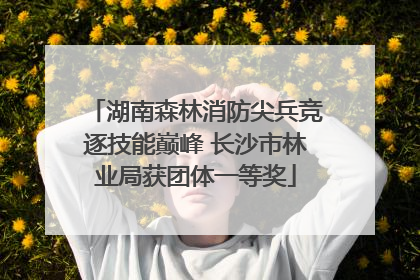 湖南森林消防尖兵竞逐技能巅峰 长沙市林业局获团体一等奖