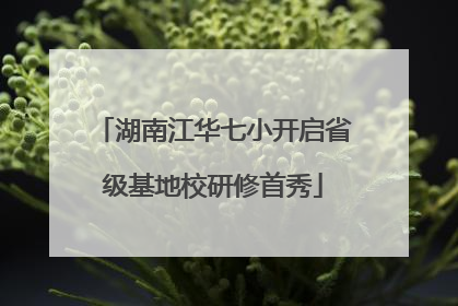 湖南江华七小开启省级基地校研修首秀