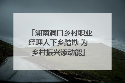 湖南洞口乡村职业经理人下乡踏勘 为乡村振兴添动能