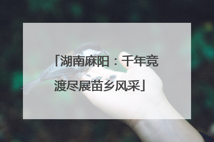 湖南麻阳：千年竞渡尽展苗乡风采