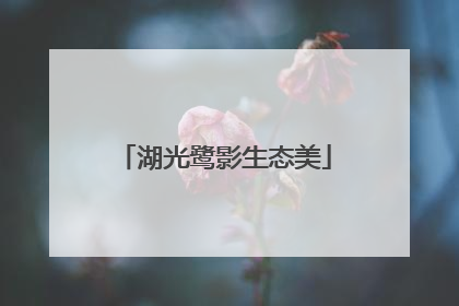 湖光鹭影生态美