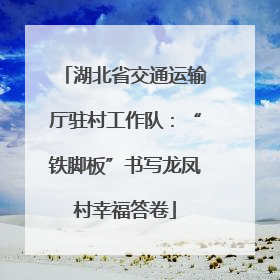 湖北省交通运输厅驻村工作队：“铁脚板”书写龙凤村幸福答卷