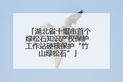 湖北省十堰市首个绿松石知识产权保护工作站硬核保护“竹山绿松石”