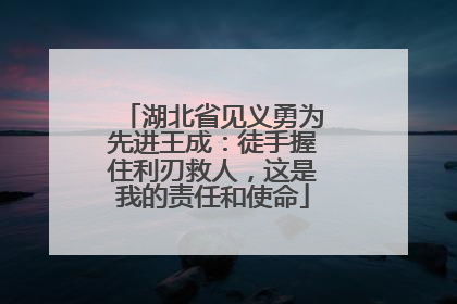 湖北省见义勇为先进王成：徒手握住利刃救人，这是我的责任和使命