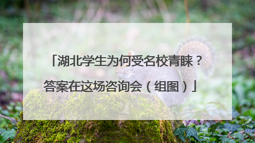 湖北学生为何受名校青睐？答案在这场咨询会（组图）