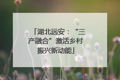 湖北远安：“三产融合”激活乡村振兴新动能