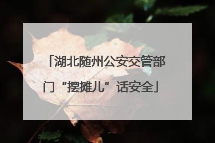 湖北随州公安交管部门“摆摊儿”话安全