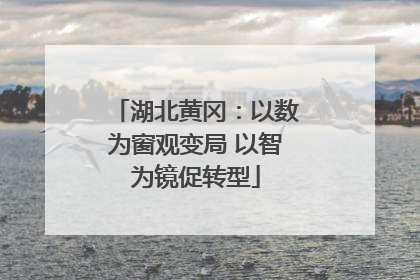 湖北黄冈：以数为窗观变局 以智为镜促转型