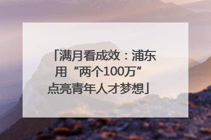 满月看成效：浦东用“两个100万”点亮青年人才梦想