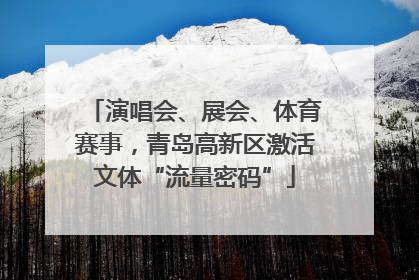 演唱会、展会、体育赛事，青岛高新区激活文体“流量密码”