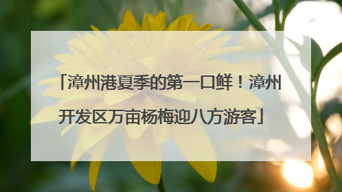 漳州港夏季的第一口鲜！漳州开发区万亩杨梅迎八方游客