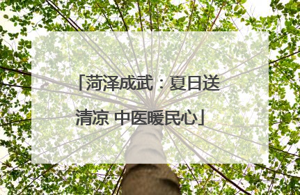 菏泽成武：夏日送清凉 中医暖民心