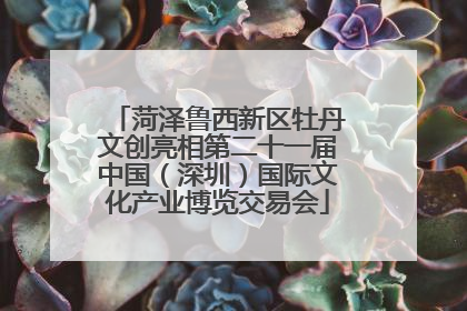菏泽鲁西新区牡丹文创亮相第二十一届中国（深圳）国际文化产业博览交易会