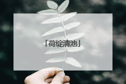 荷绽清池