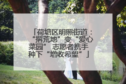 荷塘区明照街道：“撂荒地”变“爱心菜园” 志愿者携手种下“增收希望”