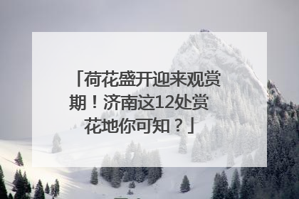 荷花盛开迎来观赏期！济南这12处赏花地你可知？