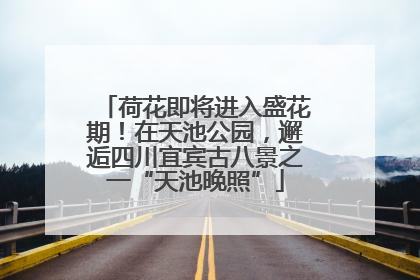 荷花即将进入盛花期！在天池公园，邂逅四川宜宾古八景之一“天池晚照”