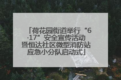 荷花园街道举行“6·17”安全宣传活动暨恒达社区微型消防站应急小分队启动式