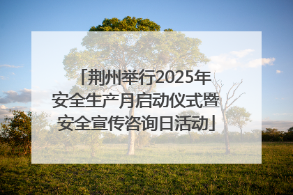 荆州举行2025年安全生产月启动仪式暨安全宣传咨询日活动