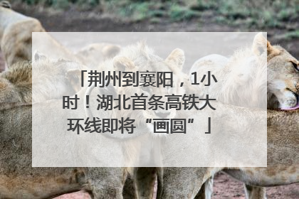 荆州到襄阳，1小时！湖北首条高铁大环线即将“画圆”