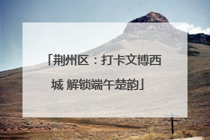 荆州区：打卡文博西城 解锁端午楚韵