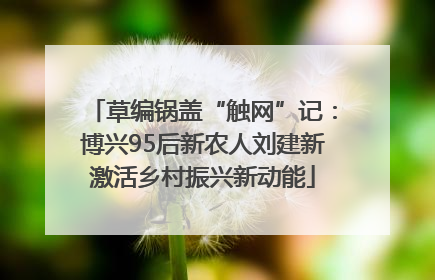 草编锅盖“触网”记：博兴95后新农人刘建新激活乡村振兴新动能