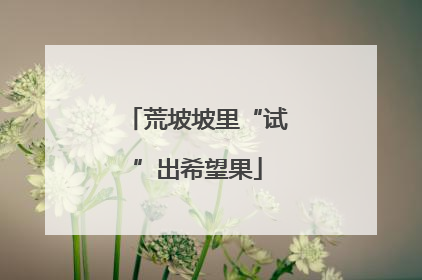 荒坡坡里“试”出希望果