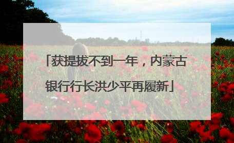 获提拔不到一年，内蒙古银行行长洪少平再履新