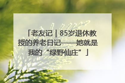老友记｜85岁退休教授的养老日记——她就是我的“绿野仙庄”