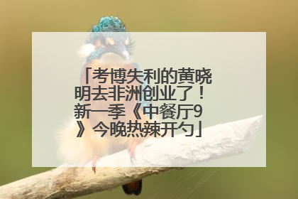 考博失利的黄晓明去非洲创业了！新一季《中餐厅9》今晚热辣开勺