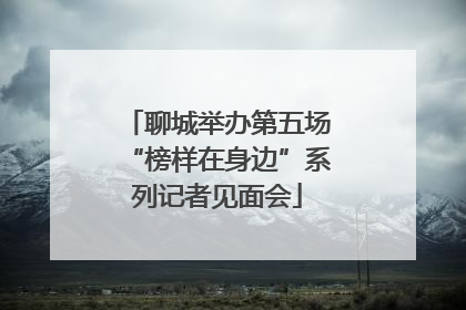 聊城举办第五场“榜样在身边”系列记者见面会