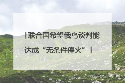 联合国希望俄乌谈判能达成“无条件停火”