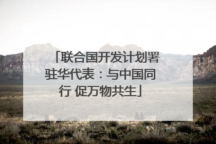 联合国开发计划署驻华代表：与中国同行 促万物共生