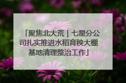 聚焦北大荒｜七星分公司扎实推进水稻育秧大棚基地清理整治工作