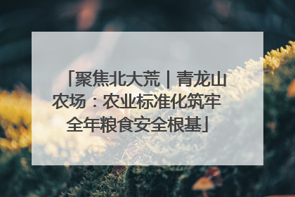 聚焦北大荒｜青龙山农场：农业标准化筑牢全年粮食安全根基