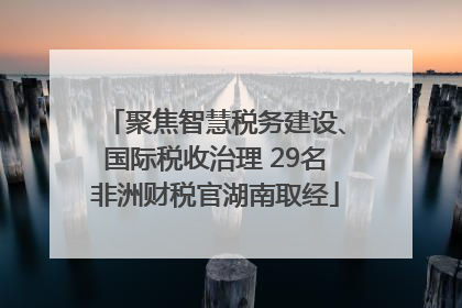 聚焦智慧税务建设、国际税收治理 29名非洲财税官湖南取经