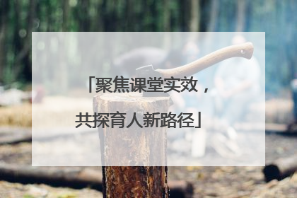 聚焦课堂实效，共探育人新路径
