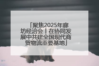 聚焦2025年廊坊经洽会丨在协同发展中共建全国现代商贸物流重要基地