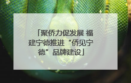 聚侨力促发展 福建宁德推进“侨见宁德”品牌建设