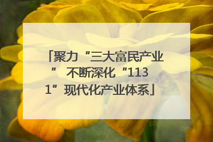 聚力“三大富民产业” 不断深化“1131”现代化产业体系