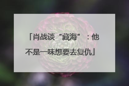 肖战谈“藏海”：他不是一味想要去复仇