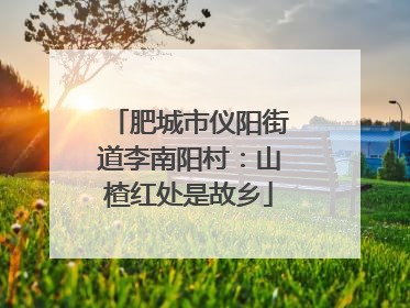 肥城市仪阳街道李南阳村：山楂红处是故乡
