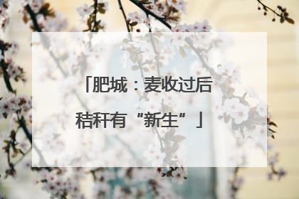 肥城：麦收过后秸秆有“新生”