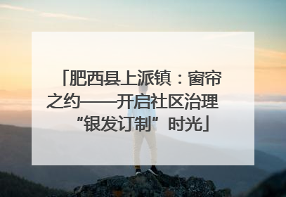 肥西县上派镇：窗帘之约——开启社区治理“银发订制”时光