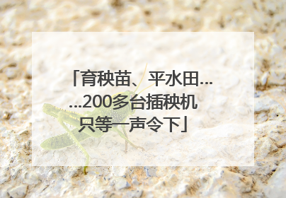 育秧苗、平水田……200多台插秧机只等一声令下