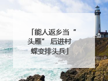 能人返乡当“头雁” 后进村蝶变排头兵